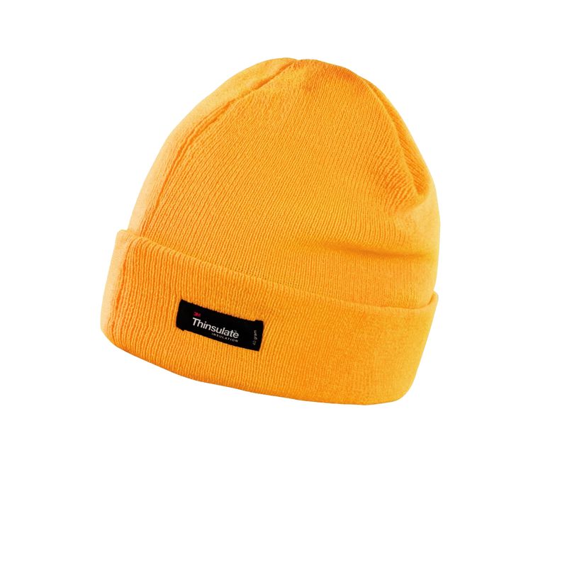 Result Unisex Lightweight Thermal Winter Thinsulate Hat (3m 40g) (Pack Of 2) / F
